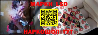 apvp Кингисепп