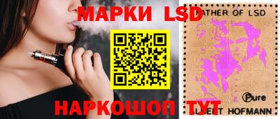 apvp Кингисепп