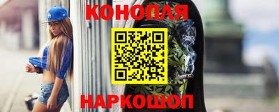 apvp Кингисепп