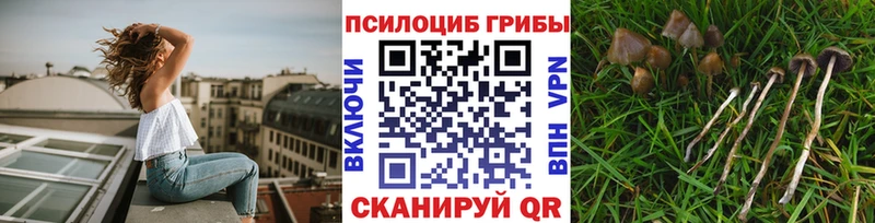 Галлюциногенные грибы прущие грибы  кракен как войти  Москва 