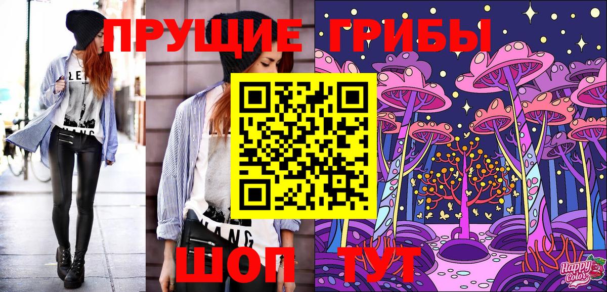 Москва  Галлюциногенные грибы прущие грибы  Вход с VPN 