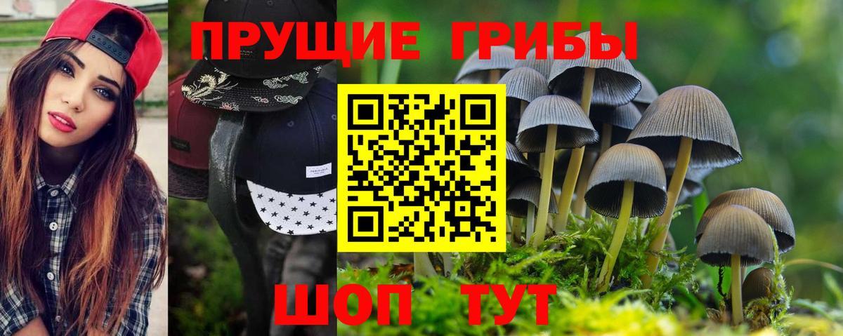 Псилоцибиновые грибы прущие грибы Москва