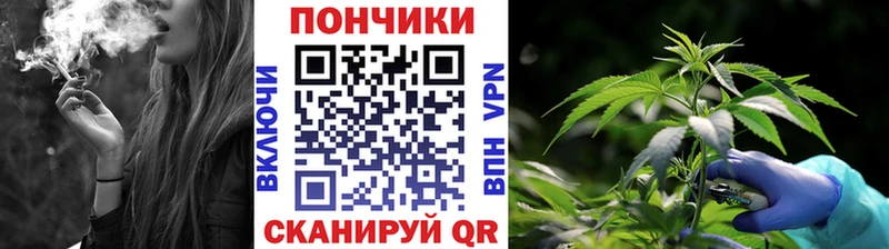 Каннабис план цена Москва